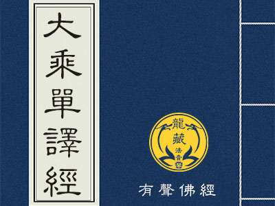 大乘单译经