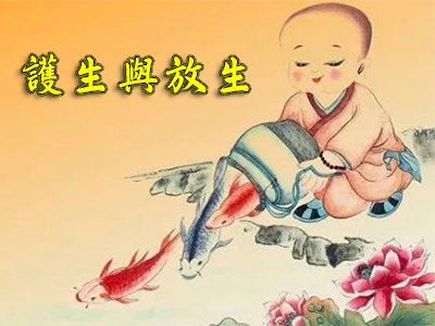 放生与护生 放生与护生